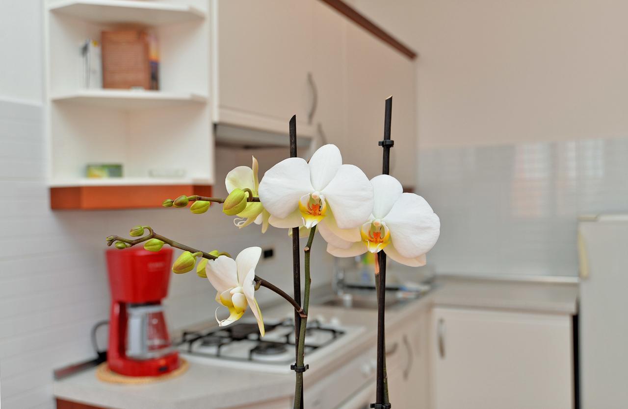 Apartment Ljiljana 1553 Novigrad  Luaran gambar